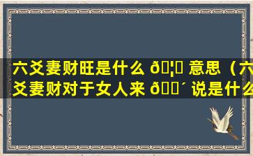 六爻妻财旺是什么 🦈 意思（六爻妻财对于女人来 🐴 说是什么）